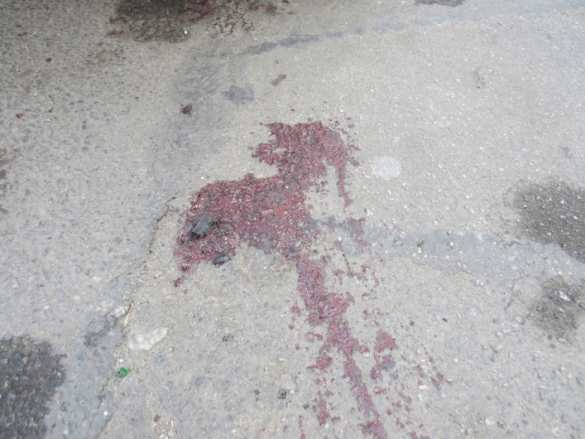 В Мелитополе избили «героев АТО». «Правый сектор» недоволен (фото, видео) | Русская весна