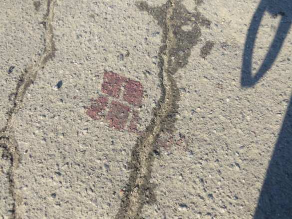 В Мелитополе избили «героев АТО». «Правый сектор» недоволен (фото, видео) | Русская весна