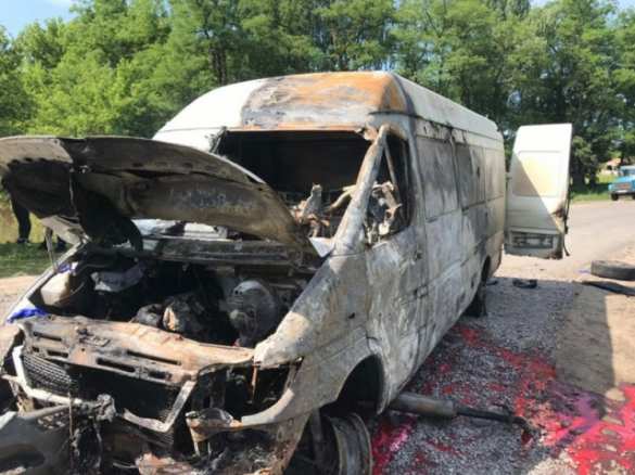 Погибло всё живое: страшное экологическое ЧП между Киевом и Винницей (ФОТО, ВИДЕО) | Русская весна