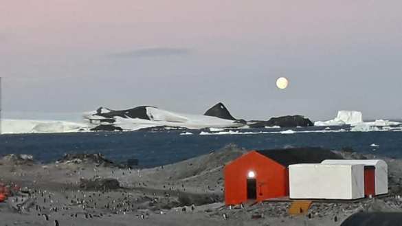 Угрожающая аномалия: в Антарктиде установилась феноменальная жара (ФОТО, ВИДЕО) | Русская весна