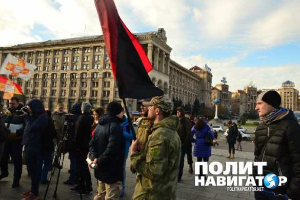 На майдане соорудили виселицу для Порошенко и Яценюка (ВИДЕО, ФОТО) | Русская весна