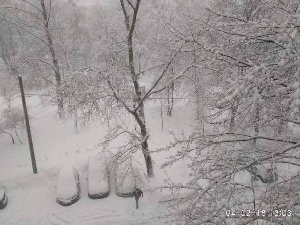 Москва борется со стихией: есть жертвы (ФОТО, ВИДЕО) | Русская весна