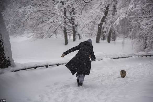 «Снежный Армагеддон»: британцы шокированы российскими снегопадами (ФОТО, ВИДЕО) | Русская весна