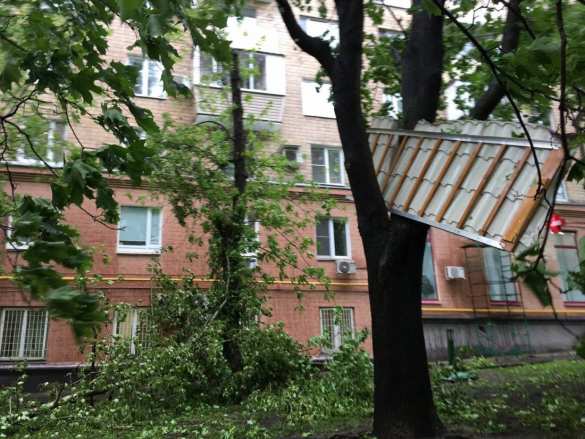 Число жертв урагана в Москве растет (+ВИДЕО, ФОТО) | Русская весна