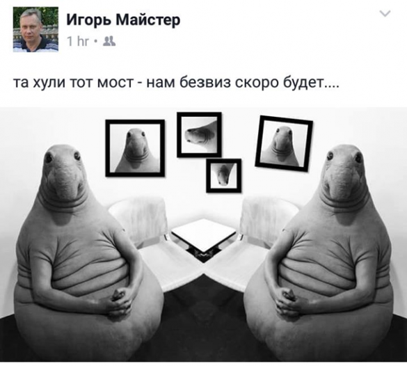 «Мост устал»: Интернет взорвался фотожабами после заявления Кличко (ФОТО, ВИДЕО) | Русская весна