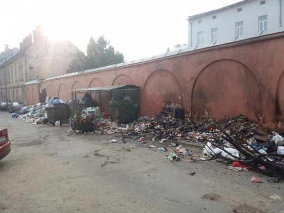В центре Львова мусор парализовал автомобильное движение (ФОТО) | Русская весна