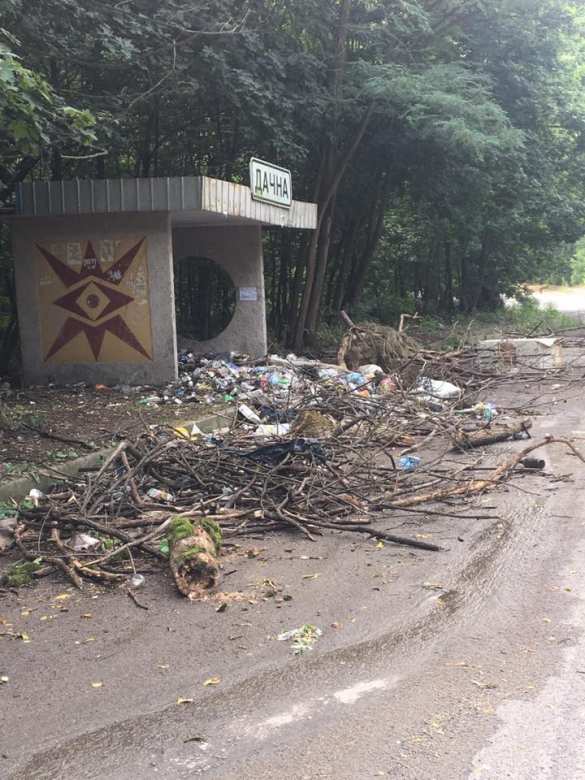 «Это Путин намусорил, пусть он и убирает», — депутат Рады рассказал про чудовищный «срач» на остановках в окрестностях Киева (ФОТОФАКТ) | Русская весна