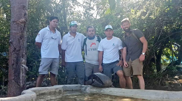 Гигантскую черепаху из вымершего вида нашли на Галапагосах (ФОТО) | Русская весна