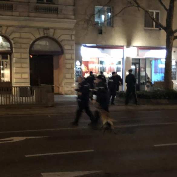 В Австрии афганец с ножом атаковал прохожих, ранены мужчины, женщина и ребёнок — подробности (ФОТО) | Русская весна