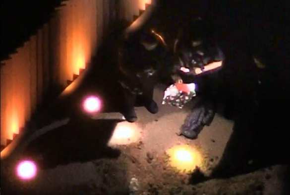 Министру финансов США подарили коробку навоза «от народа Америки» (ФОТО, ВИДЕО) | Русская весна