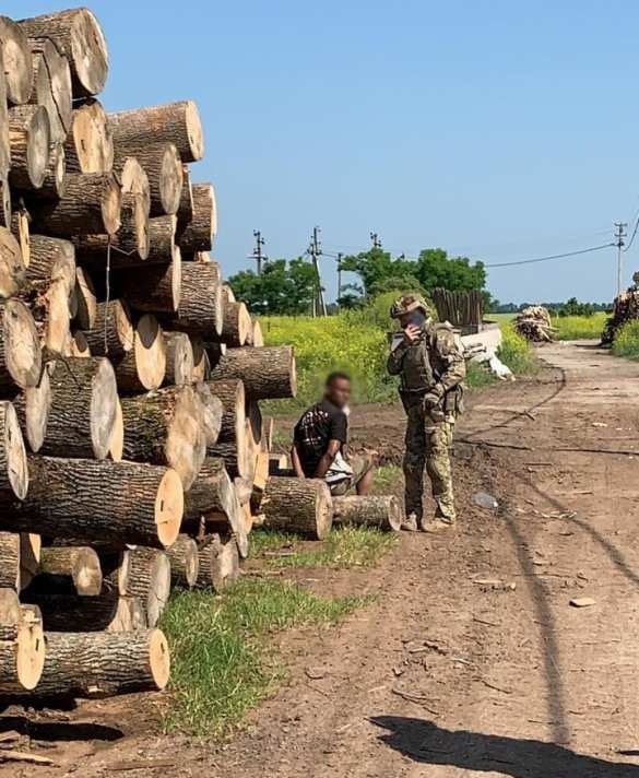 Чёрные «рабы» обнаружены на лесозаготовке под Киевом (ФОТО, ВИДЕО) | Русская весна