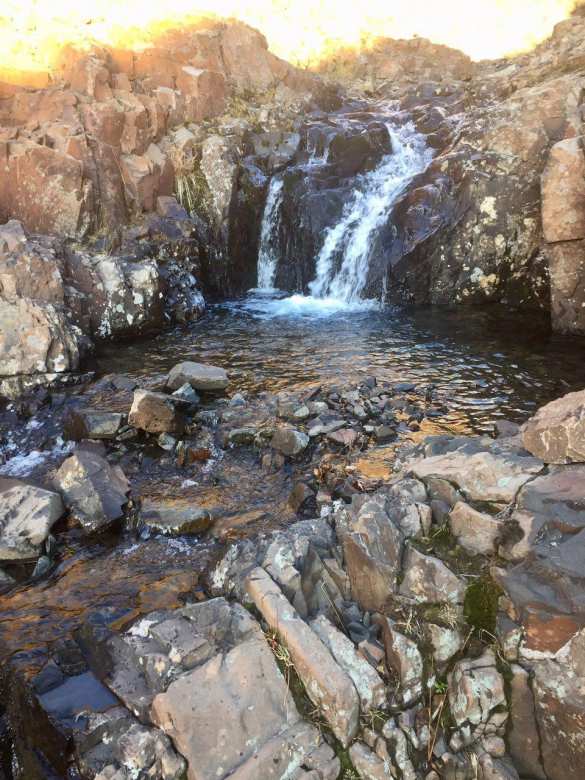 «ПОРА» в Норильск: «Белый мишка» вышел на новую экотропу «Красные Камни» (ФОТО) | Русская весна