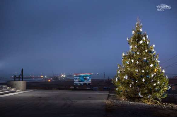Строители Крымского моста посадили новогоднюю ель (ФОТО) | Русская весна