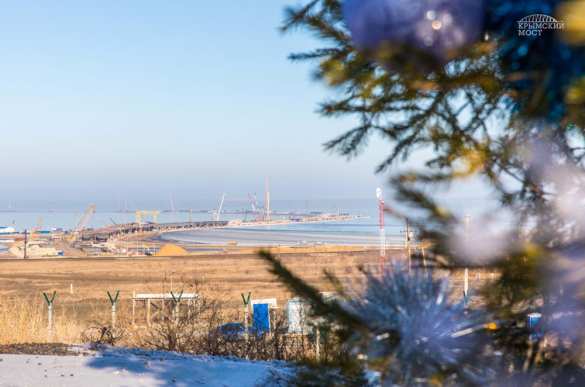 Строители Крымского моста посадили новогоднюю ель (ФОТО) | Русская весна