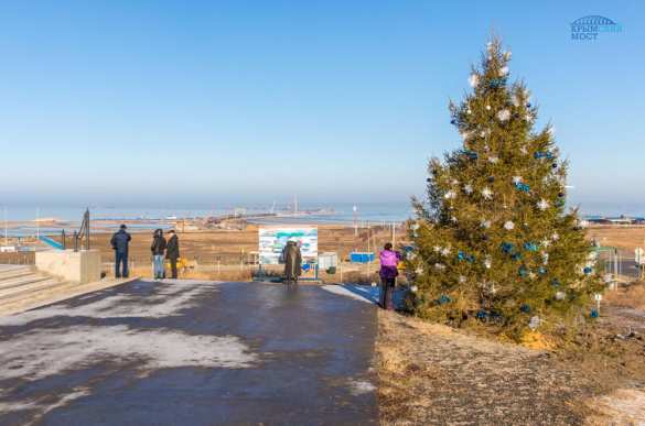 Строители Крымского моста посадили новогоднюю ель (ФОТО) | Русская весна
