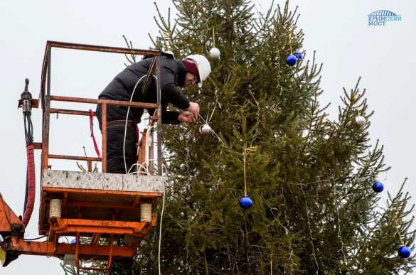 Строители Крымского моста посадили новогоднюю ель (ФОТО) | Русская весна