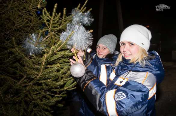 Строители Крымского моста посадили новогоднюю ель (ФОТО) | Русская весна