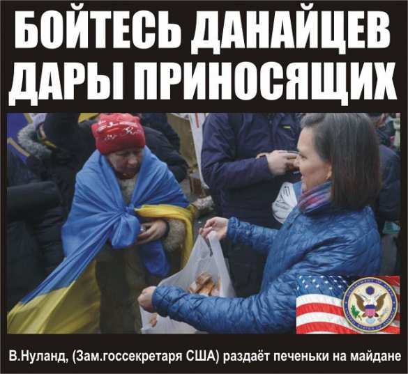 Печеньки кончились: Нуланд покидает госдеп США | Русская весна