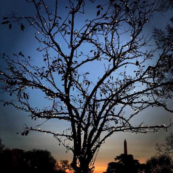 Обама с утками и горящий камин — главные события года по мнению фотографа Белого дома (ФОТОЛЕНТА) | Русская весна