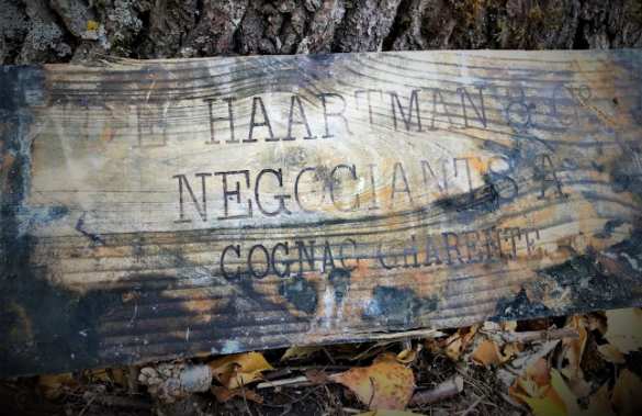 900 бутылок коньяка и ликёра 100-летней выдержки подняли с судна, затонувшего на пути в Россию (ФОТО, ВИДЕО) | Русская весна