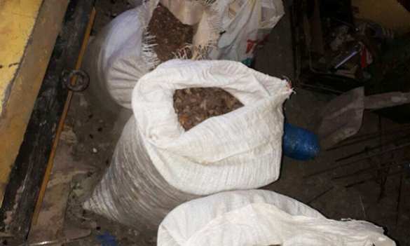 Куда стекается добытый янтарь: на Украине обнаружили подпольный завод и изъяли 300 кг камня (ФОТО) | Русская весна