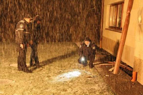 Во Львове снова обстреляли дом мэра Садового (добавлены фото) | Русская весна