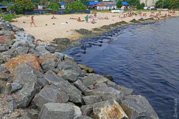 Ужасы отдыха в Одессе: гниющие водоросли, вонь и мусор (ФОТО) | Русская весна