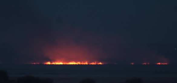 В Одесской области горит национальный парк (ФОТО) | Русская весна