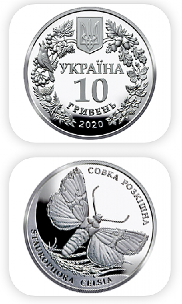 Символично: Нацбанк Украины выпустит монету с ночной бабочкой (ФОТО) | Русская весна