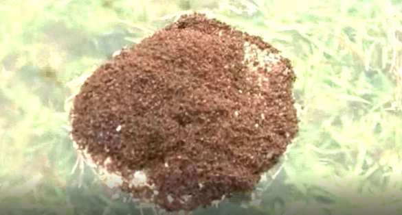 В США растёт число жертв урагана «Флоренс» (ФОТО, ВИДЕО) | Русская весна