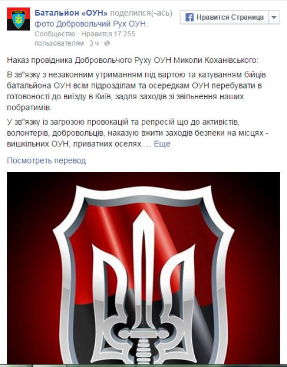 МОЛНИЯ: Батальон «ОУН» получил приказ выдвинуться в Киев для силового освобождения задержанных «побратимов» | Русская весна