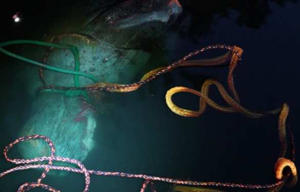 Сделаем Америку снова индейской: в США свалили памятник Колумбу (ФОТО, ВИДЕО) | Русская весна