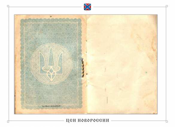 Создание Украинской народной республики: буфер между Европой и «дикими русскими» (ФОТО) | Русская весна