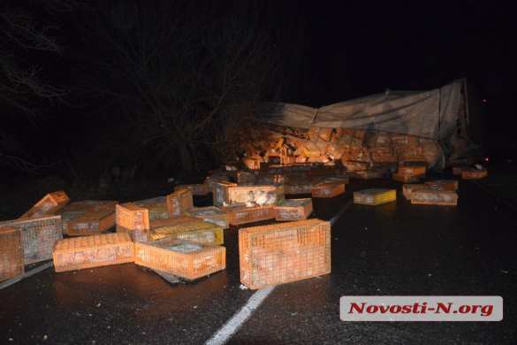 «Куриное» ДТП на Украине: птицы из перевернувшейся фуры вырвались на свободу (ФОТО) | Русская весна