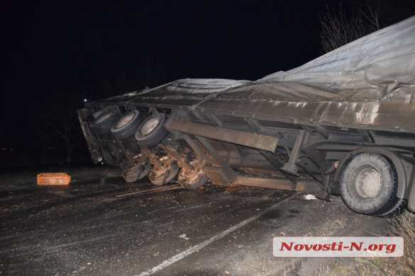 «Куриное» ДТП на Украине: птицы из перевернувшейся фуры вырвались на свободу (ФОТО) | Русская весна