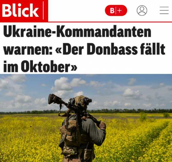 «Донбасс падёт в октябре», — швейцарский Blick цитирует офицеров ВСУ | Русская весна