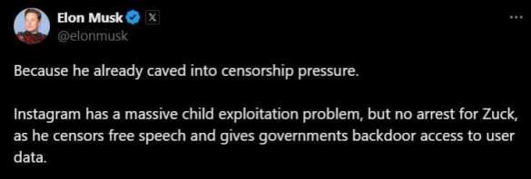 Почему не арестовали Цукерберга? — Илон Маск задаётся резонным вопросом | Русская весна