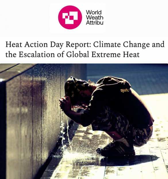 Половина населения Земли пережила дополнительный месяц аномальной жары | Русская весна