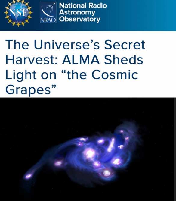 «Секретный урожай Вселенной»: В космосе нашли виноград (ФОТО) | Русская весна