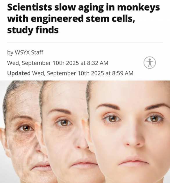 Учёные научились омолаживать организм на 7 лет без побочных эффектов | Русская весна