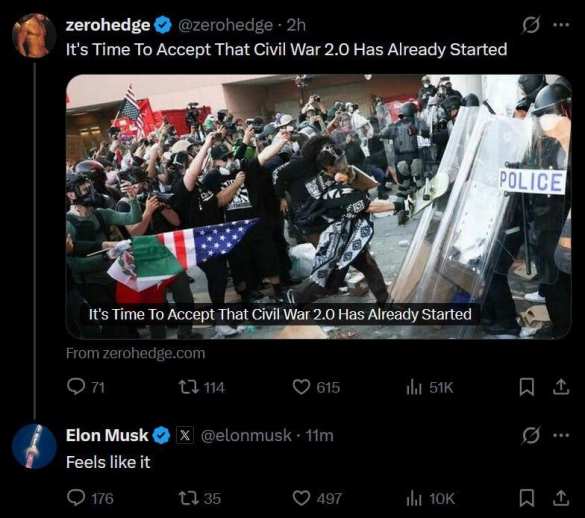 Маск: новая гражданская война в США уже началась | Русская весна