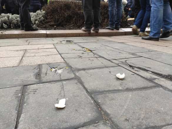 В Харькове неонацисты напали на участников пикета в поддержку русского языка (ФОТО, ВИДЕО) | Русская весна