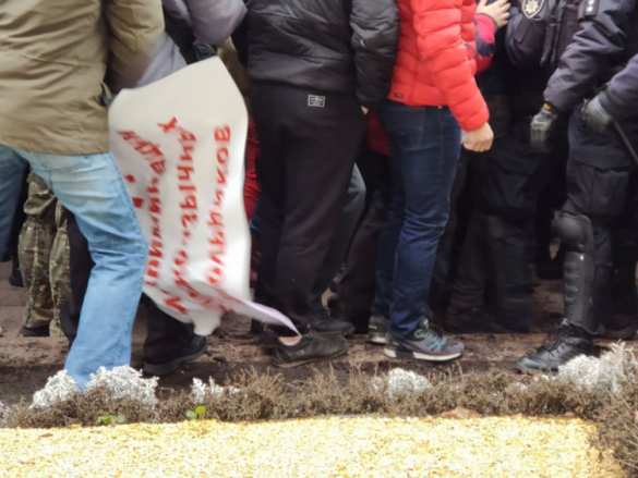 В Харькове неонацисты напали на участников пикета в поддержку русского языка (ФОТО, ВИДЕО) | Русская весна