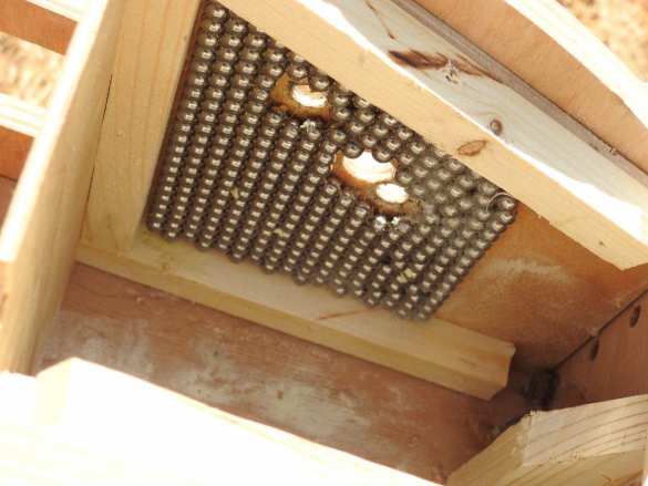 В Сирии перехвачены боевые «птицы» боевиков (+ФОТО, ВИДЕО) | Русская весна