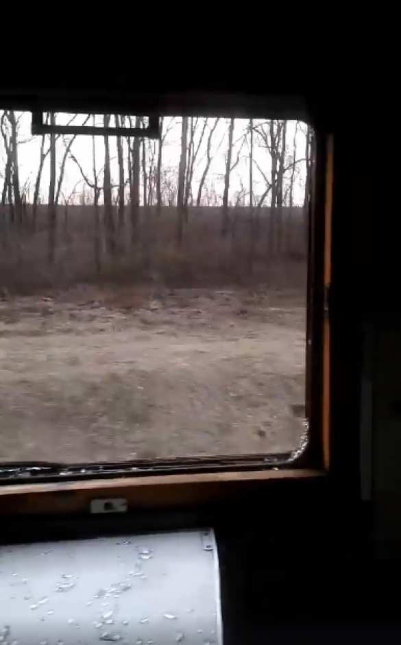 Украинские фанаты разгромили поезд Львов-Запорожье (ФОТО) | Русская весна