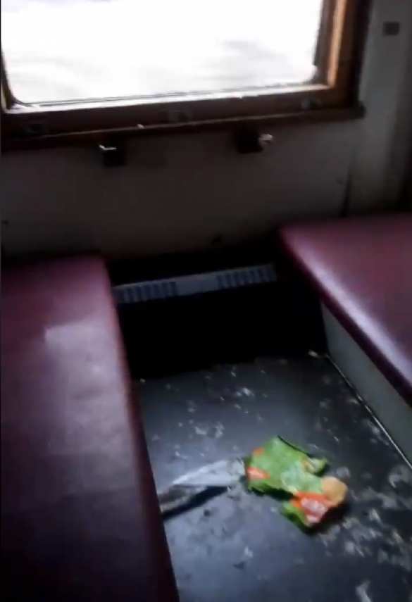 Украинские фанаты разгромили поезд Львов-Запорожье (ФОТО) | Русская весна