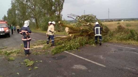 На Украину обрушилась стихия: без света остались более 740 населенных пунктов (ФОТО, ВИДЕО) | Русская весна
