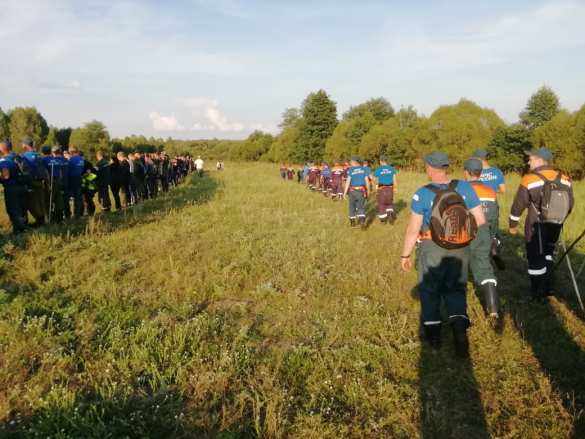 СРОЧНО: Масштабные поиски завершены, в нижегородском лесу нашли пропавшую ранее пятилетнюю девочку (ФОТО, ВИДЕО)  | Русская весна