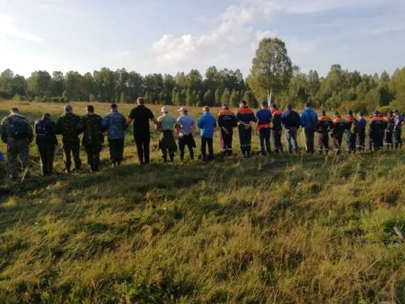 СРОЧНО: Масштабные поиски завершены, в нижегородском лесу нашли пропавшую ранее пятилетнюю девочку (ФОТО, ВИДЕО)  | Русская весна