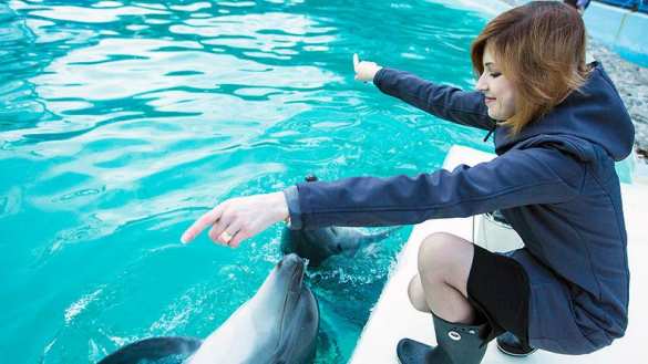 Прокурор Крыма Наталья Поклонская поплавала с дельфинами (ФОТО) | Русская весна